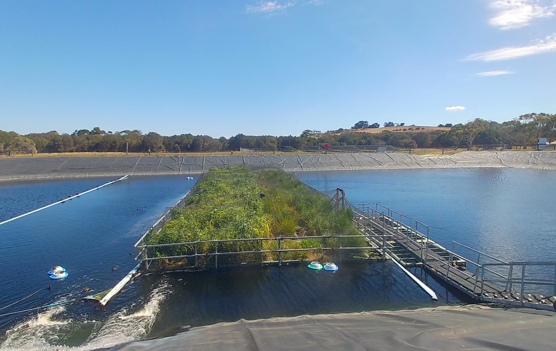 Westernport - floating wetlands